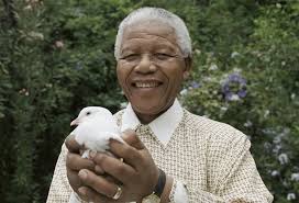 Nelson Mandela and the dove of peace